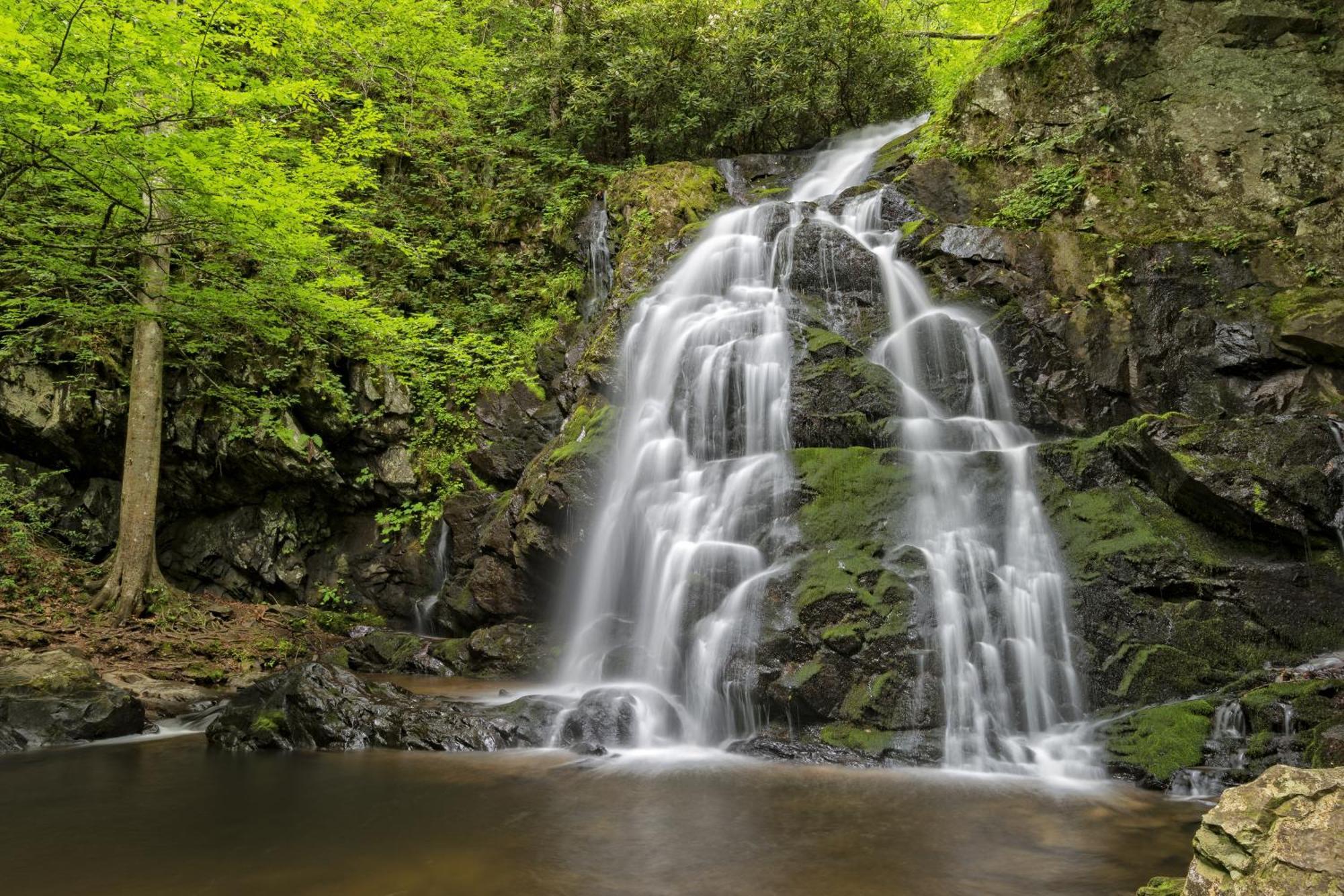 Maple Trails, Wifi, 1089 Free Tickets Each Paid Day, Dollywood And More Gatlinburg Dış mekan fotoğraf