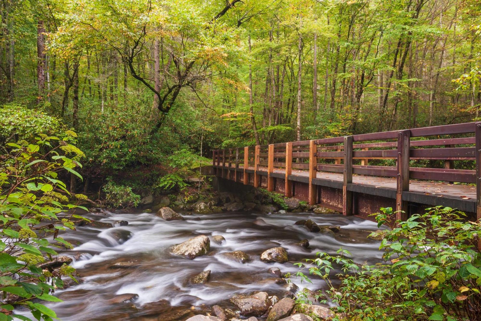 Maple Trails, Wifi, 1089 Free Tickets Each Paid Day, Dollywood And More Gatlinburg Dış mekan fotoğraf